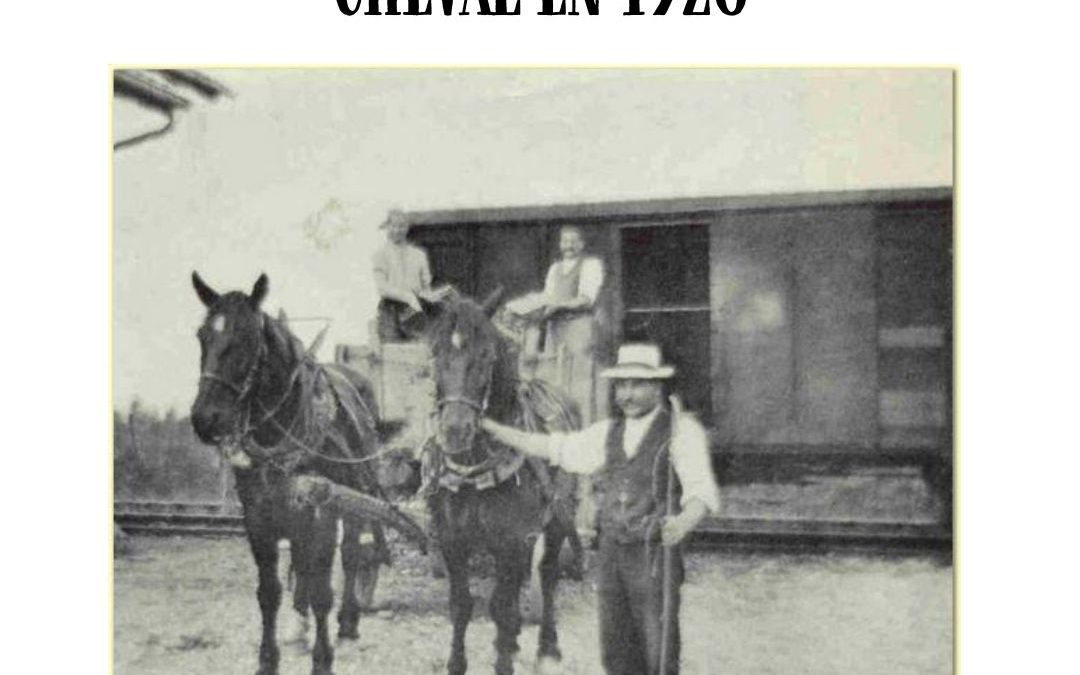 📸 ARCHIVE #12 – Nos premières livraisons… à cheval 🐎